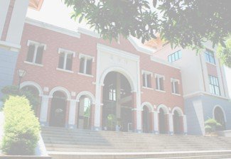 博鱼电子app新手怎么玩