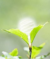 野外基地 仪器平台